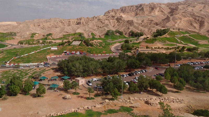 Al Ain parks ordered closed: Municipality