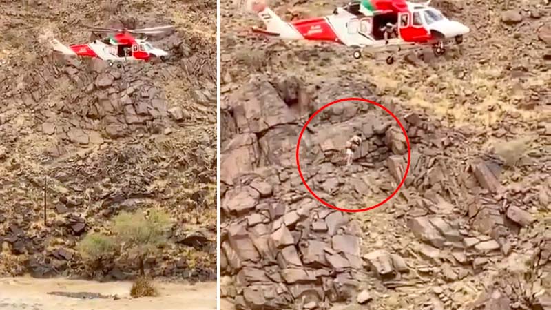 Watch: Man trapped in Sharjah wadi floods rescued