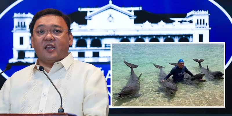 Harry Roque apologises for viral dolphin photos