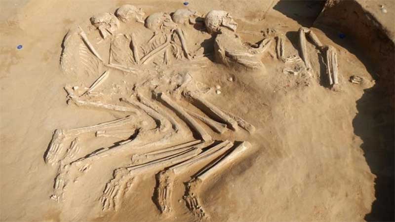 5 skeletons from 6000 BC discovered in UAE
