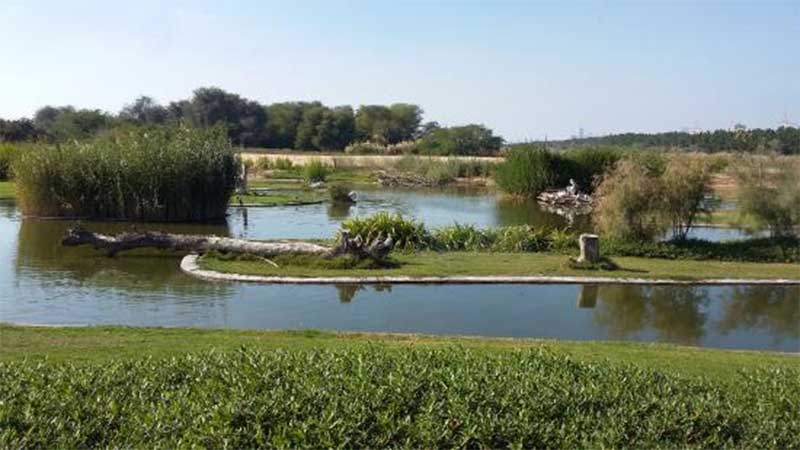 4 fined Dh10,000 each for catching fish, crabs in Sharjah wildlife sanctuary