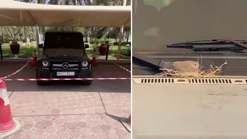 Sheikh Hamdan cordons off SUV over unlikely passenger