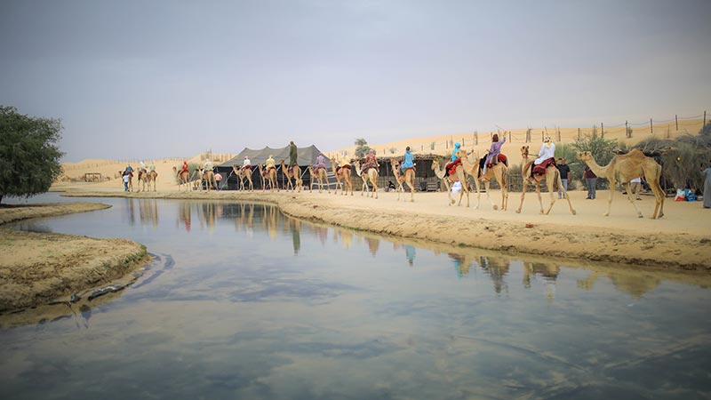 Dubai tourist camps to allow overnight stays