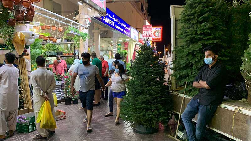 Dubai’s first Christmas trees of 2020 sold in Satwa