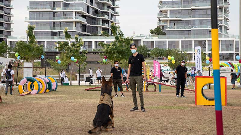 Watch: Dog park opens in Dubai’s Damac Hills