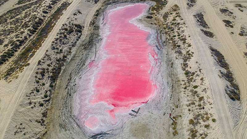 Pink Lake in Ras Al Khaimah: Mystery solved