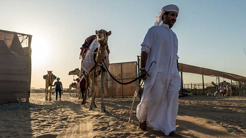 How to train your camel: UAE training program opens for expats, Emiratis
