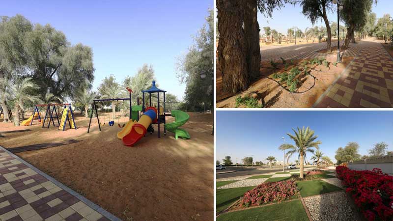 The Al Hayer Oasis in Al Ain.