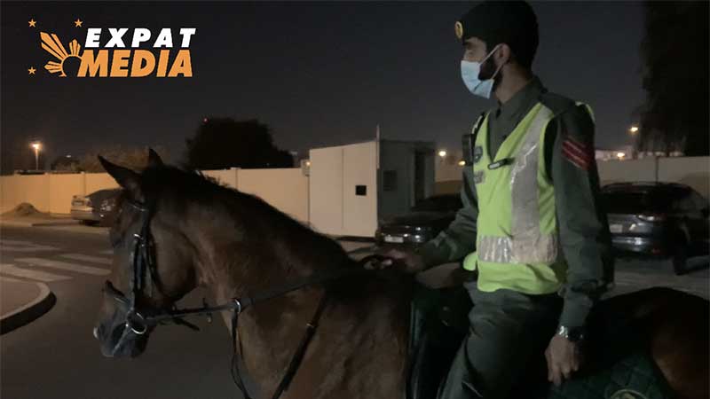 Dubai Police on horseback arrest 3 burglars after Rashidiya chase
