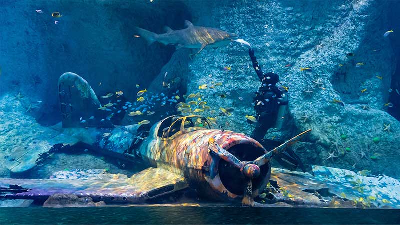 Abu Dhabi builds largest aquarium in Middle East