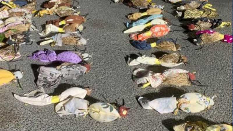 Driver arrested in Dubai with 64 falcons hidden in truck