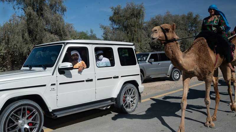 Sheikh Mohammed surprises camel riders on way to Expo 2020 Dubai