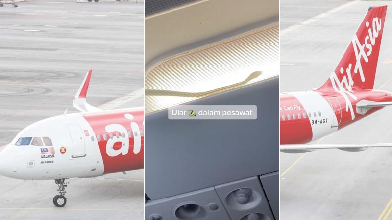 Snake on plane forces AirAsia flight to reroute