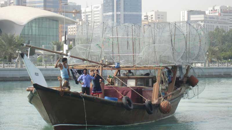 Avoid catching these types of fish in UAE starting March 1