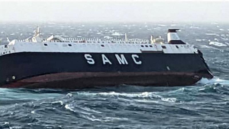 UAE cargo ship sinks off coast of Iran, 2 crew members still missing