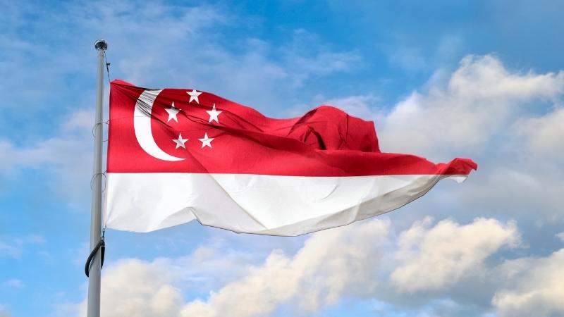 UAE joins Singapore convention to boost international trade