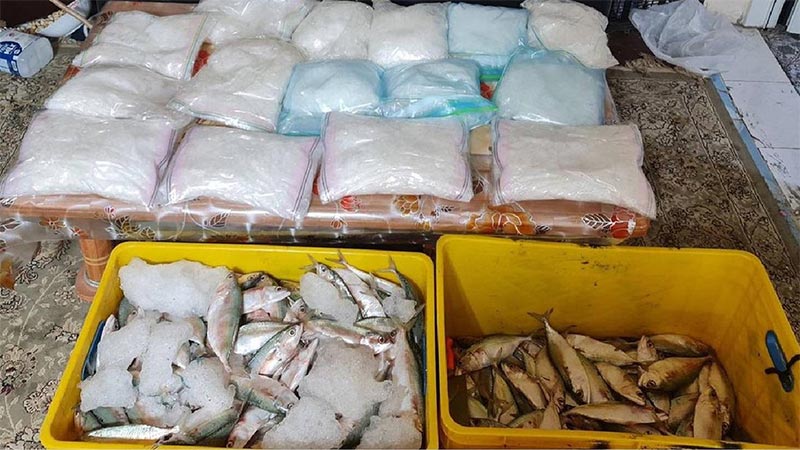38kg of drugs hidden in fish seized in Abu Dhabi, 3 men arrested