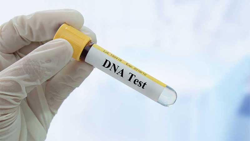 New DNA test in UAE traces your ancestry from over 100 generations