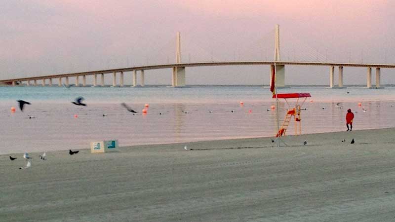 Abu Dhabi beach temporarily closed until 2023