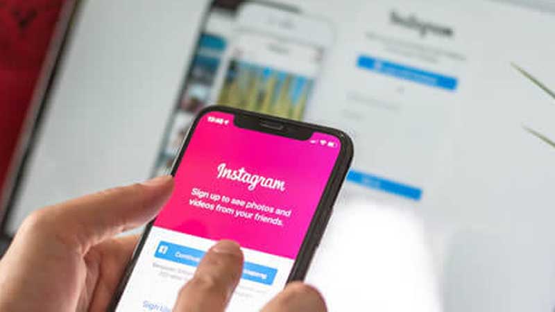Abu Dhabi woman wins Dh20,100 lawsuit over Instagram fake cat sellers