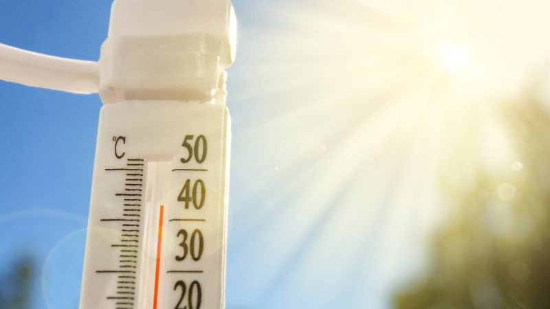 UAE to experience a hot day with mercury reaching up to 49ºC