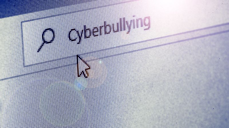 Insulting people online: Violators jailed, fined up to Dh500,000