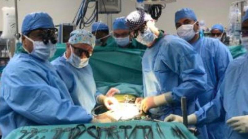 UAE taking efforts in regulating organ transplantation, donation says healthcare experts