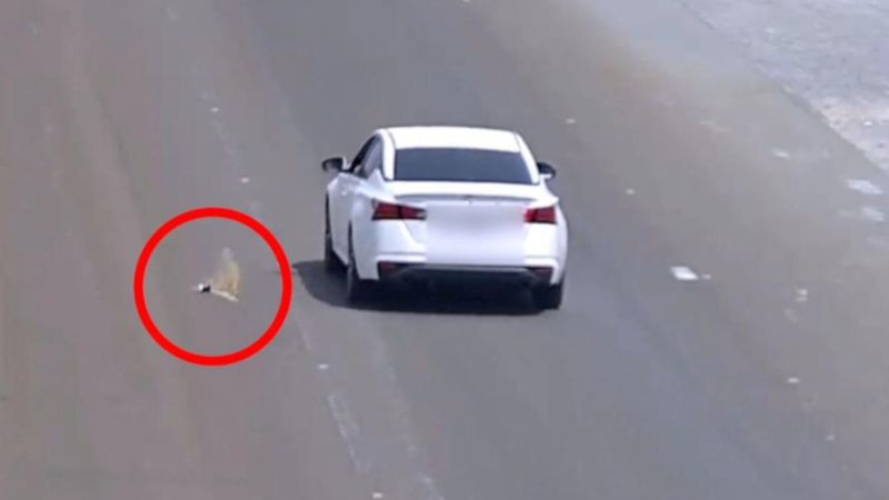 UAE motorists receive 6 black points, Dh1,000 fine for throwing trash on roads