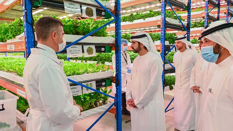 World’s largest vertical farm in Dubai gets royal tour