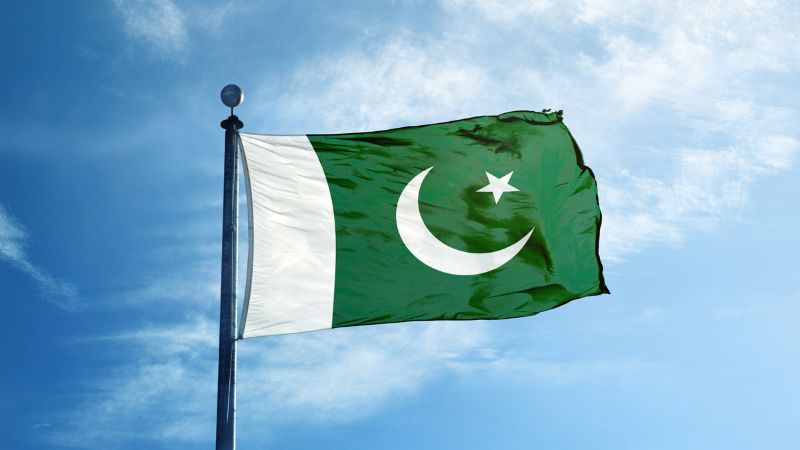 Pakistanis on visit visa, expats advised to follow rules; guidelines announced