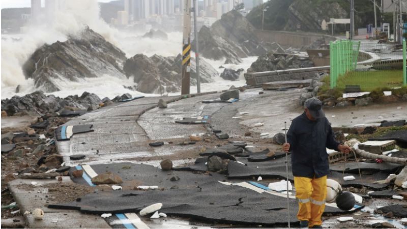 Typhoon Hinnamnor devastates South Korea