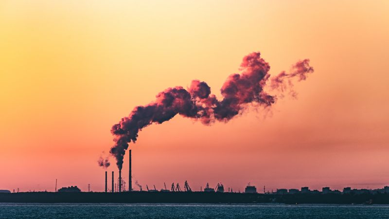 Abu Dhabi: EAD imposes Dh328,000 fines on environmental violations