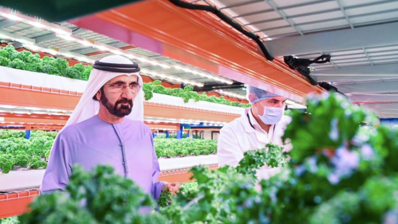 Dubai: UAE Vice President visits world’s largest vertical farm