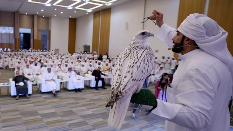 Abu Dhabi: Most Expensive Falcon Sold for Dh1.01m at ADIHEX