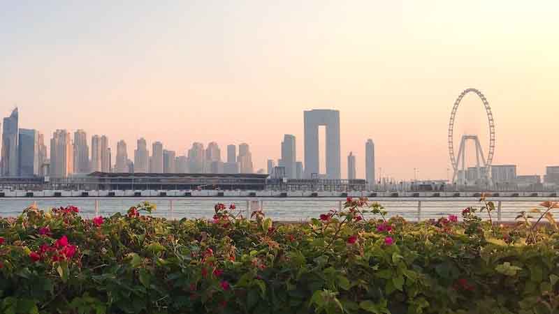 UAE Weather: Expect Temperatures to Drop as Humidity Rises