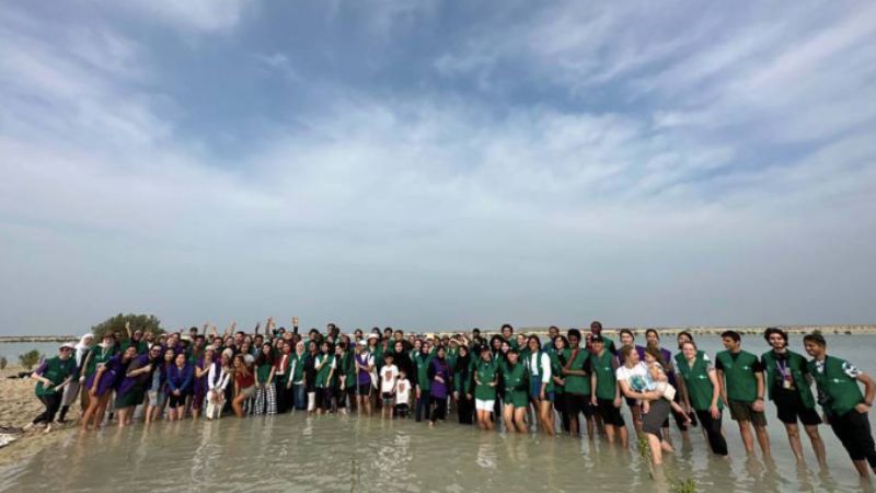 Dubai: Volunteers plant 5,000 mangroves within an hour to boost green drive
