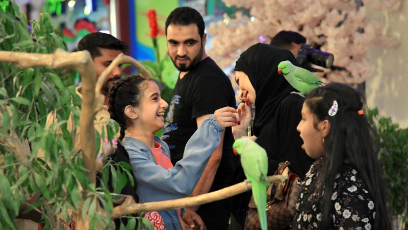 RAK Mall to host interactive pet zoo