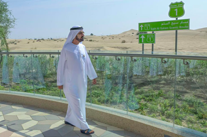 Dubai Ruler unveils project to develop Dubai countryside