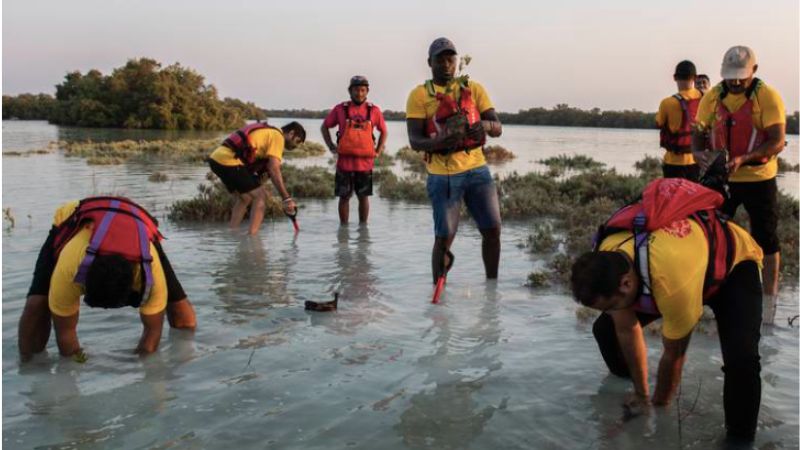 UAE President plants mangrove tree in Indonesian forest