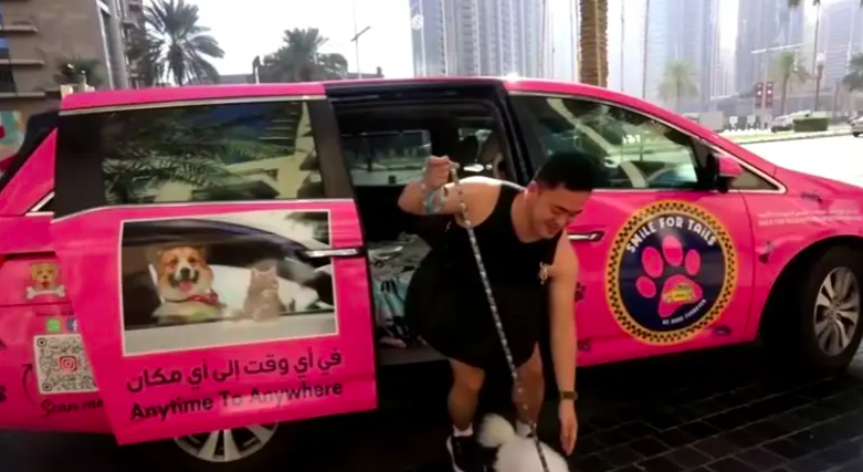Dubai: Busy fur-parents can now hire a pet taxi to take their pets to vet, day care