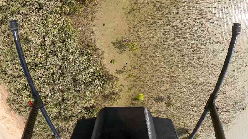 EAD plants one million mangrove seeds using drones