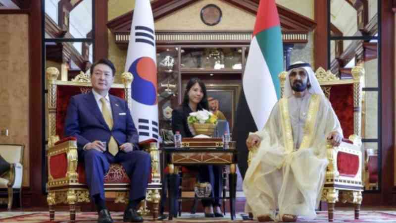 UAE VP discusses strengthening of cooperation with South Korean President
