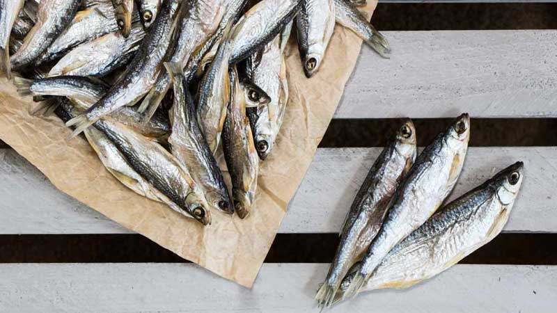Here's where you can legally make dried fish in Sharjah