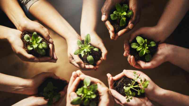 UAE: Environmentalists laud declaration of 2023 as the Year of Sustainability