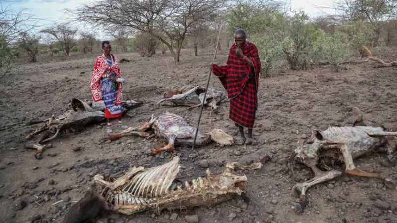 Horn of Africa experiences worst drought in more than a decade
