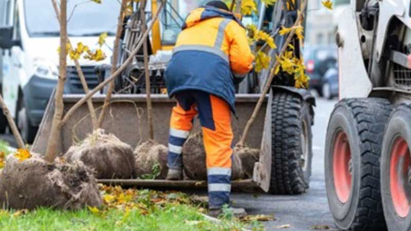 Abu Dhabi farmer gets Dh85,000 after falling from crane