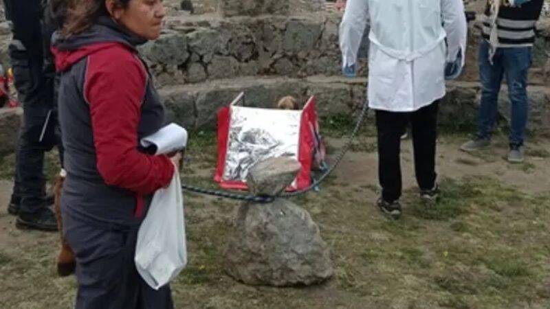 'It's my girlfriend': Peru man found with 800-year-old mummy in food delivery bag