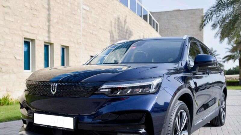 Dubai: Travel with eco-friendly taxis, EVs that look like this