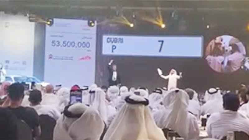 Dubai car number plate P7 sells for Dh55 million at auction