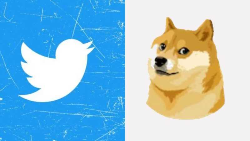 Twitter replaces its blue bird logo with the ‘meme star’ dog